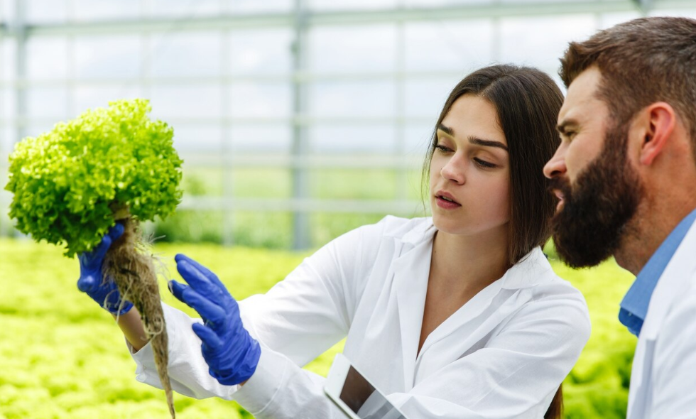 Commercial and hobby growers